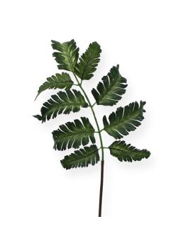 Folha de samambaia de Pteris 50 cm