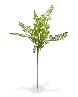 Adiantum ramo artificial PL 50 cm