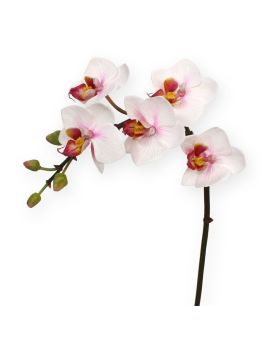 Mini Phalaenopsis planta artificial 50 cm rosa