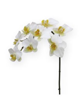 Planta artificial Phalaenopsis Orchid 80 cm branca