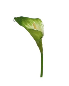 Calla flor de caule artificial 55 cm verde-branco