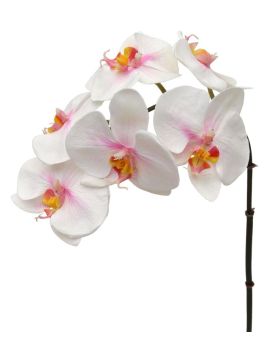 Phalaenopsis ramo artificial 55 cm rosa