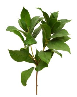 Louro de louro ramo de folha artificial 60 cm