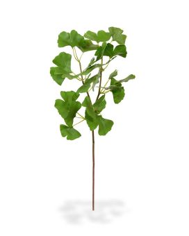 Ginkgo ramo de folha artificial deluxe 50