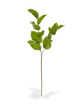 Salal ramo de folha artificial de luxo M 65 cm