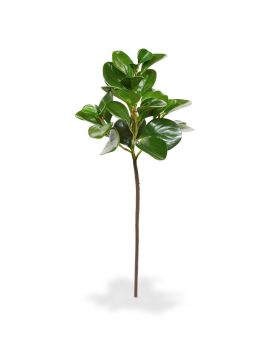 Peperomia Obtusifolia ramo de folha artificial 50 cm