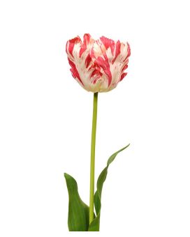 Flor artificial Van Gogh Tulip 70 cm vermelho e branco