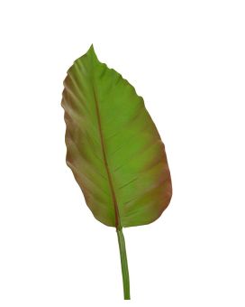 Caladium artificial de folha de luxo 75 cm