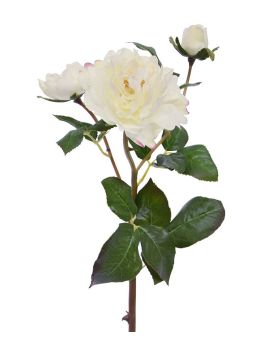 Creme de 50 cm de rosas Art Rose Branch Ruffle
