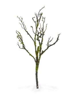 Ramo de madeira artificial de luxo com musgo 70 cm