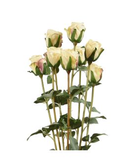 Feixe de rosas artificiais x8 creme de 70 cm