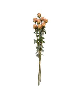 Art Rose Bundle x8 70 cm laranja