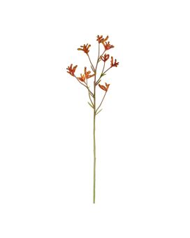 Ramo canguru 70cm - laranja