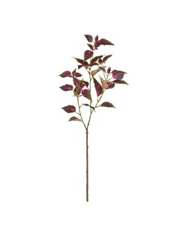 Ramo Coleus 80cm Púrpura/Rosa