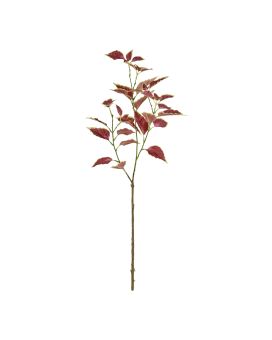 Ramo Coleus 80cm - Bourgogne