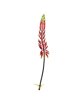 Ramo Artificial de Agave 80cm Laranja