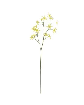 Ramo de Tweedia Oxypetalum Artificiais 68cm Verde