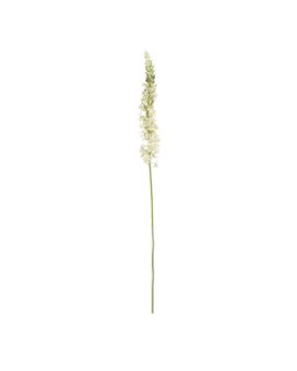 Ramo d'Eremurus Artificiais 110cm Creme