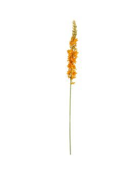 Ramo d'Eremurus Artificiais 110cm Laranja