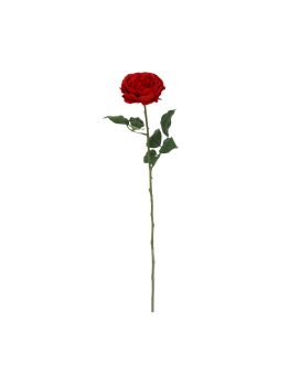 Rosier Anglais Artificiais 56cm Vermelho