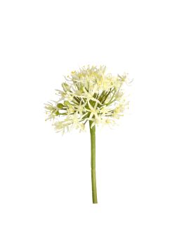 Ramo d'Allium Artificiais 61cm Creme