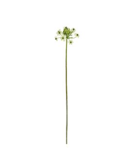 Ramo d'Ornithogalum Artificiais 65cm