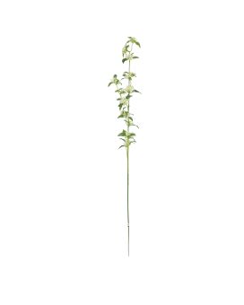 Ramo de Spirée Artificiais 104cm Creme