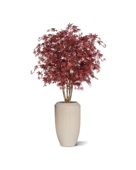 Acer Maple deluxe 165 cm burgundy