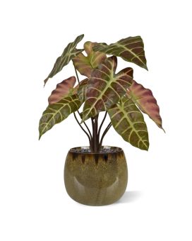 Alocasia Planta Artificial 40cm Borgonha