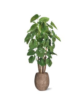Alocasia Calidora Árvore artificial gigante de luxo 210 cm