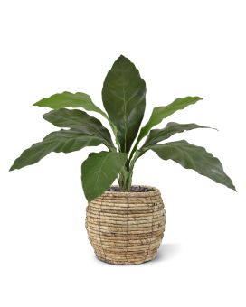 Planta artificial Anthurium Jungle King 60cm