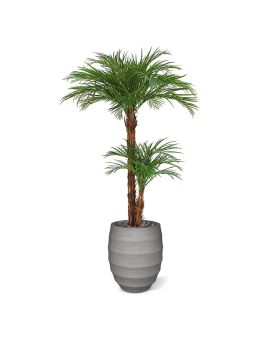 Areca palma artificial de luxo 225cm