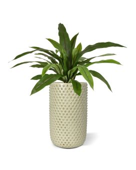 Planta artificial Asplenium Antiquum Fern 60cm