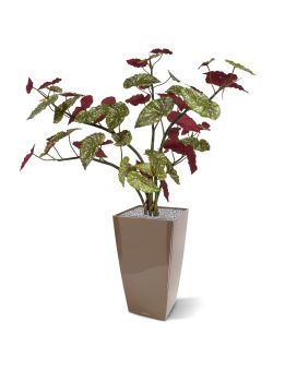 Begonia Maculata planta artificial 110cm