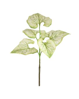 Brunnera ramo de 35cm creme-groen