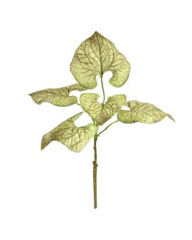Ramo Brunnera 35cm verde-acastanhado