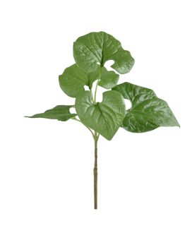 Ramal Brunnera 35cm verde