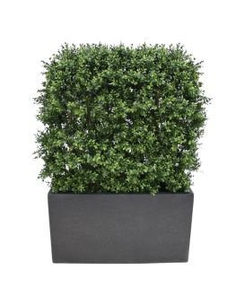Boxwood deluxe sebe artificial 80x100cm - resistente aos raios UV