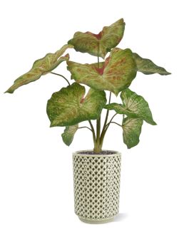 Planta artificial de framboesa Caladium 40cm
