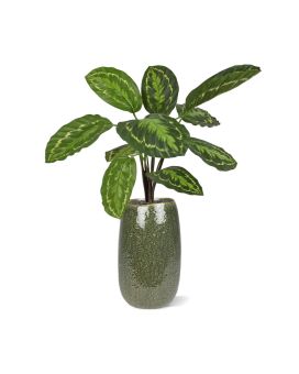 Planta artificial Calathea Roseopicta 50cm