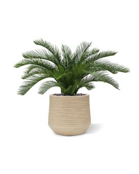 Cycas deluxe palma artificial 60cm - resistente aos raios UV