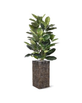 Elastica Robusta planta artificial 120cm - verde