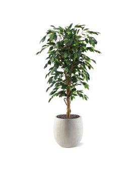 Ficus Benjamini árvore artificial 150 cm