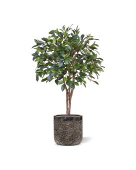Planta artificiais Ficus Folia em caule 75cm