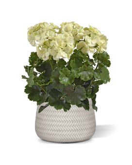 Gerânio Artificial PL XL 40cm - creme - resistente aos raios UV