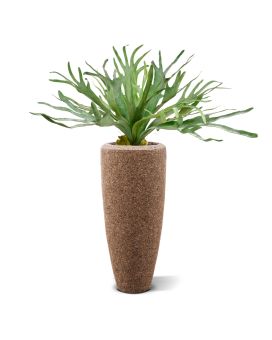 Planta artificiais com Staghorn XL