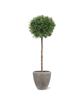 Lâmpada Ilex árvore artificial no caule 135cm - resistente aos raios UV
