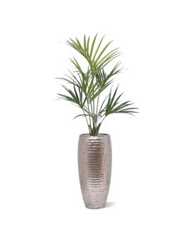 Kentia Palmeira Artificial Deluxe 135 cm