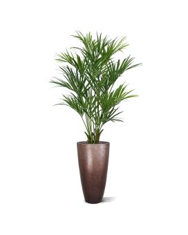 Kentia deluxe palma artificial XL 190cm