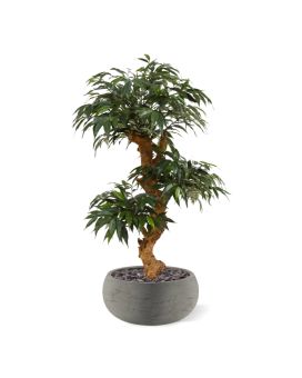 Shirakashi Bonsai x3 árvore artificial sobre base 80cm